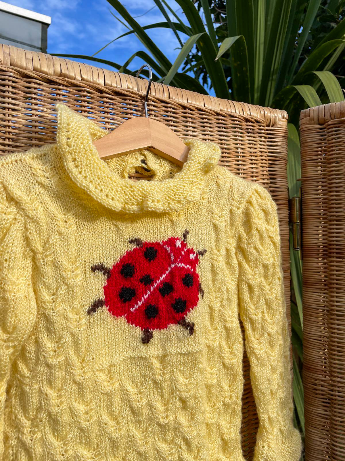 Ladybird Hand Knitted Jumper | 3-5y