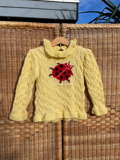 Ladybird Hand Knitted Jumper | 3-5y